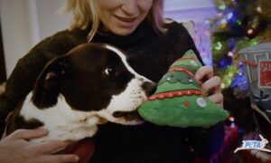 Duke’s First Holiday with a Loving Family