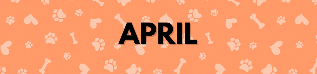 April Dog Holidays