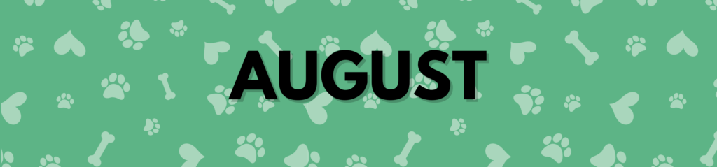 August Dog Holidays