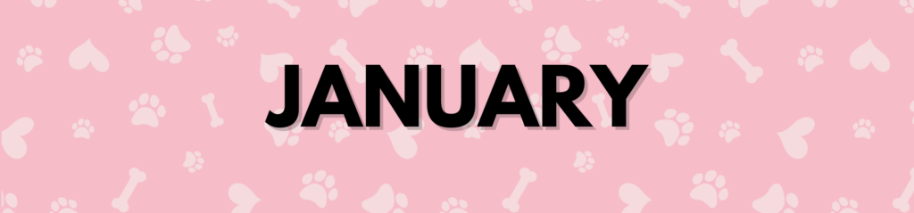 January Dog Holidays