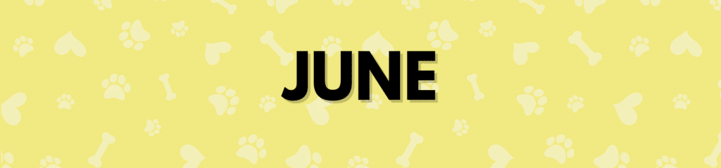 June Dog Holidays