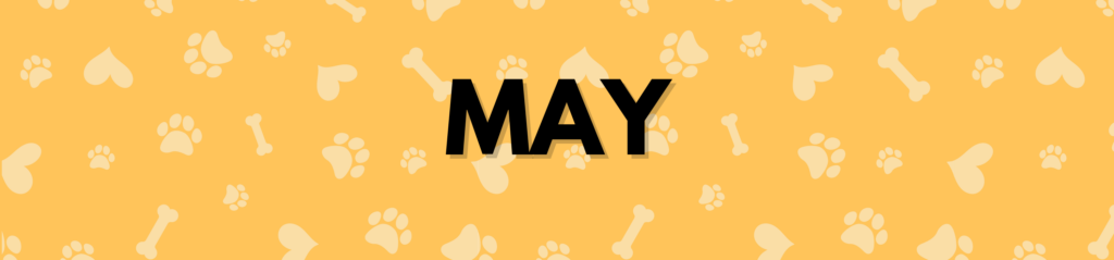 May Dog Holidays