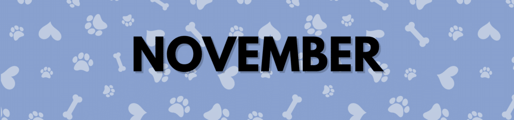 November Dog Holidays