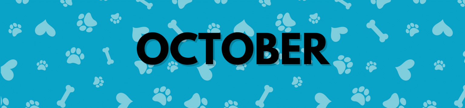 2024 Dog Holiday Calendar: A Complete List Of Dog Occasions To ...