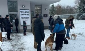 People temporarily adopting dogs due to the cold weather in Krakow