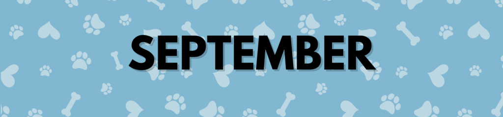 September Dog Holidays