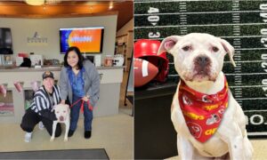 Chief With His New Owner After Being Adopted At A Super Bowl-Themed Event