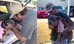 Dave Portnoy with Miss Peaches the rescue dog