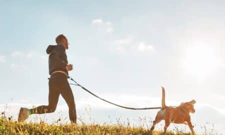Man Runs With His Beagle Dog At Sunny Morning