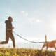Man Runs With His Beagle Dog At Sunny Morning