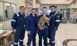 Marine inspectors with Connie the Container Dog