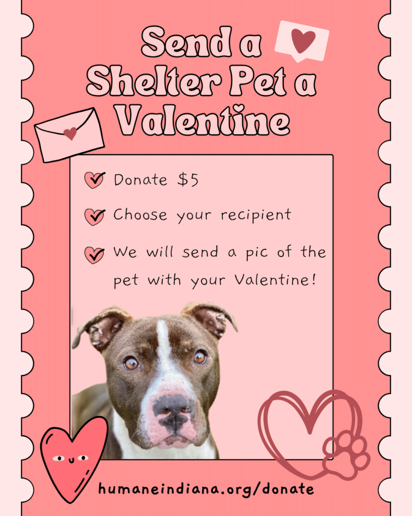 Send A Shelter Pet A Valentine