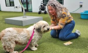 Cleo the dog with her owner Luisa