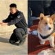 Fu Zai The First Corgi Police Dog In China