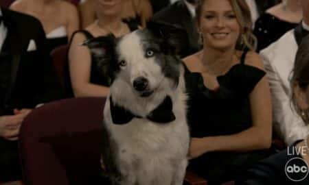 Messi The Dog At The 2024 Oscars
