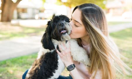 Woman Kissing Her Shih Tzu Dog After Playing In The Park