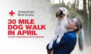 American Red Cross 30 Day Dog Walking Challenge
