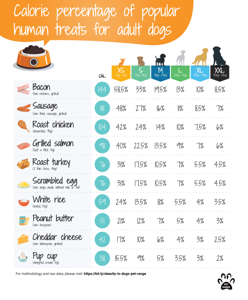 Calories Of Human Foods For Dogs