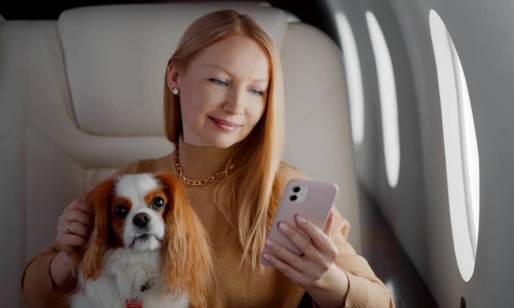 Dog Brand BARK Announces The Launch Of A New Airline Designed For Dogs