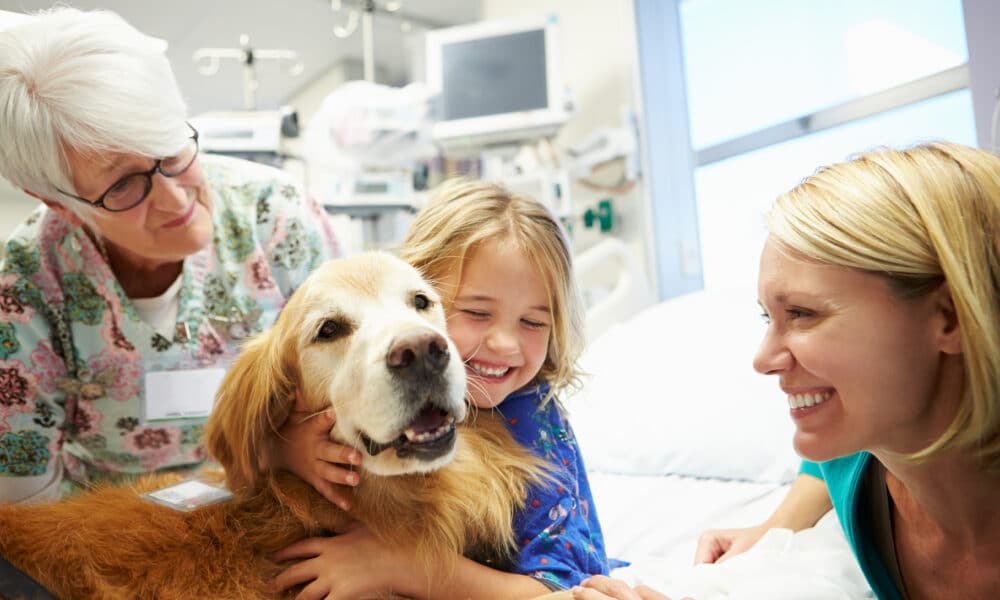 Therapy Dogs And Their Positive Impact To Our Health