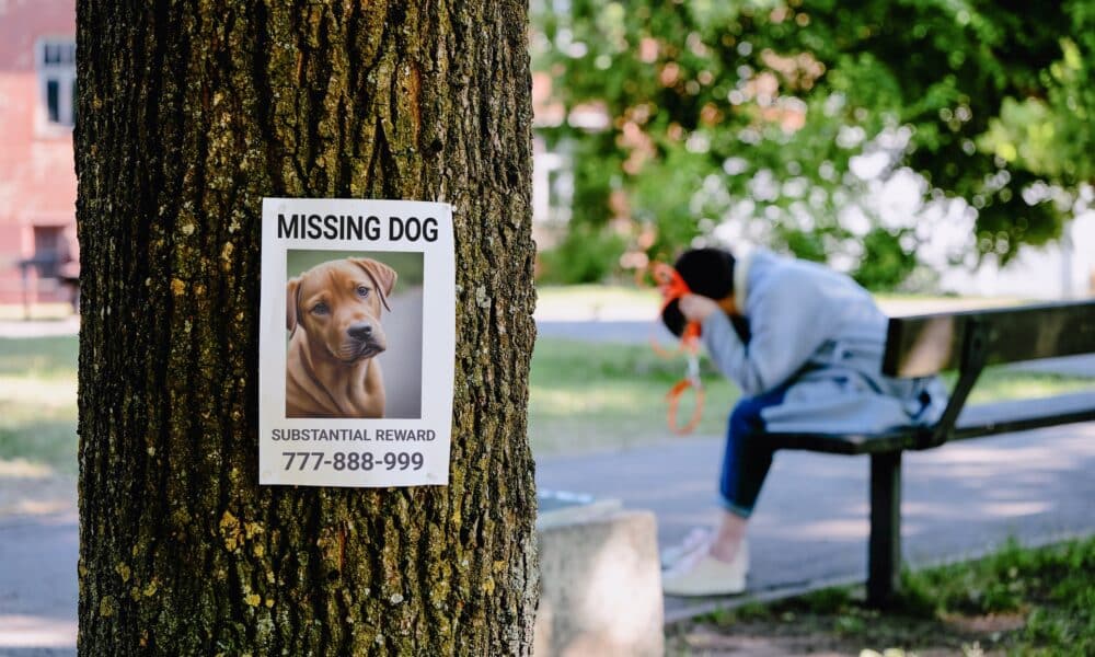 Study Reveals Dog Theft Has The Same Emotional Effect As Losing A Child