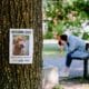Missing Dog Notice On A Tree. In The Background, A Heartbroken Dog Owner Mourns While Sitting On A Bench.