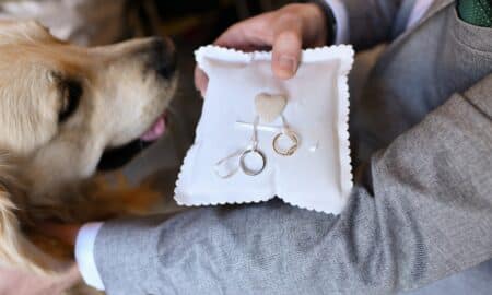 Groom Takes Wedding Rings From The Dog
