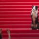 Messi, The Dog From 'Anatomy Of A Fall,' Arrives At Cannes Film Festival