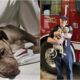 Puppy Who Lost A Leg With The Firefighter Who Helped Save Her