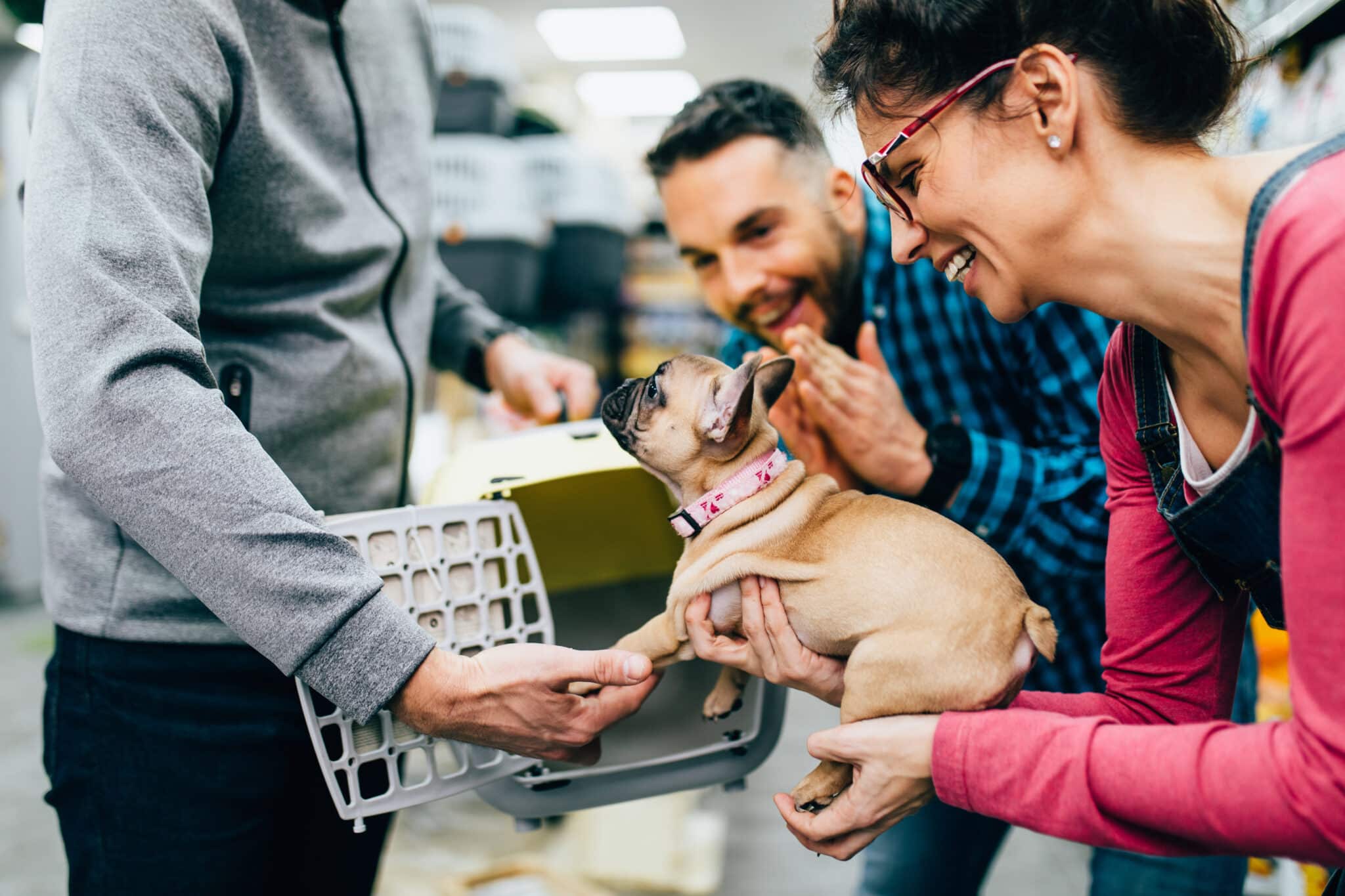 Buying Vs Adopting Dogs Making An Informed Decision The Dogington Post Buying Vs Adopting Dogs Making An Informed Decision The Dogington Post