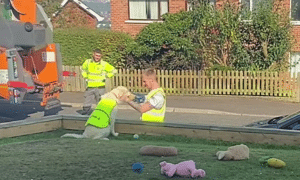 Maddie the dog playing with her favorite garbage men