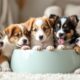 How-to-Adopt-Puppy-Bowl-Dogs_-A-Step-by-Step-Guide_1747346893