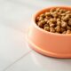 How-to-Choose-the-Best-Dog-Food-for-Renal-Care