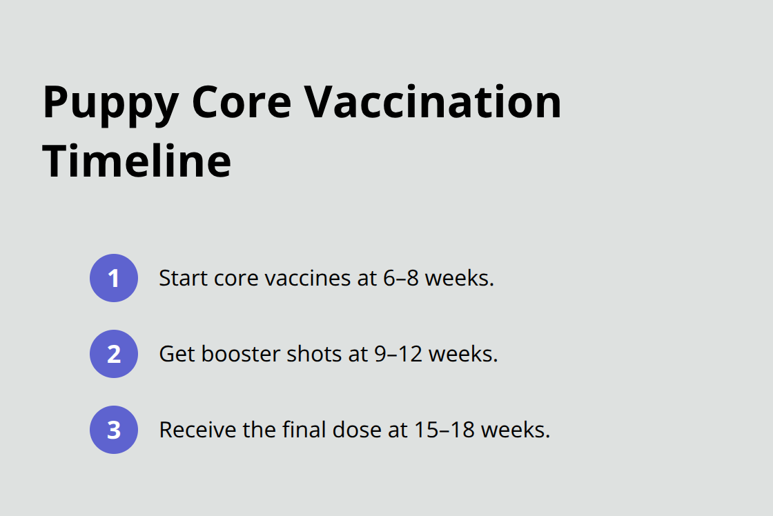 Three-step puppy vaccination schedule showing start, boosters, and final dose. - best age for puppy adoption