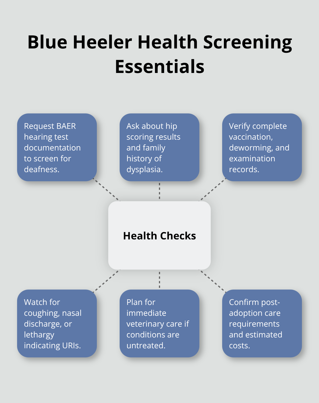 Health screening checklist for Blue Heeler puppies before adoption