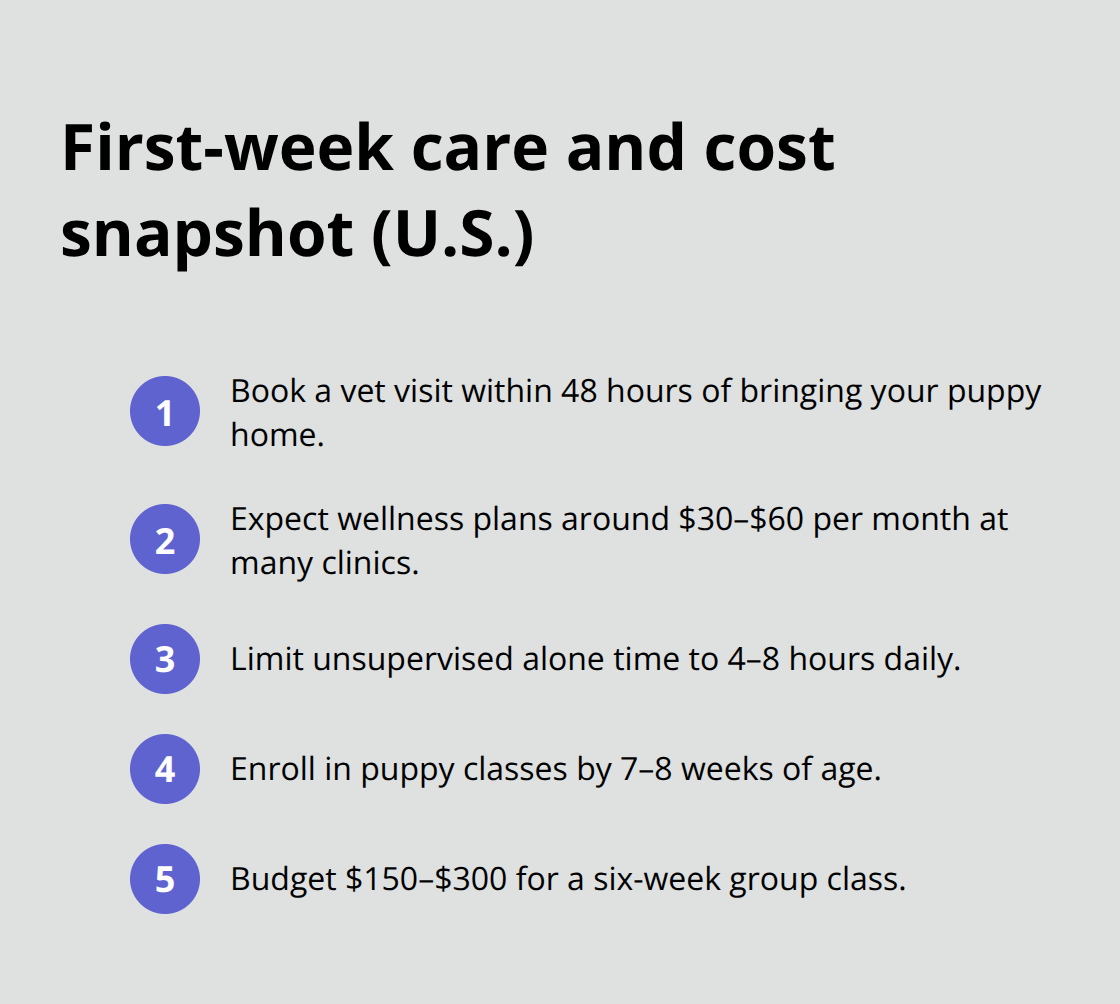 Compact list of early-care steps and typical U.S. costs for a new Border Terrier puppy.