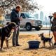 Canine Climate Impact News: How A Warmer World Affects Dogs