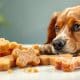 How to Choose Dental Care Dog Treats for Your Pet