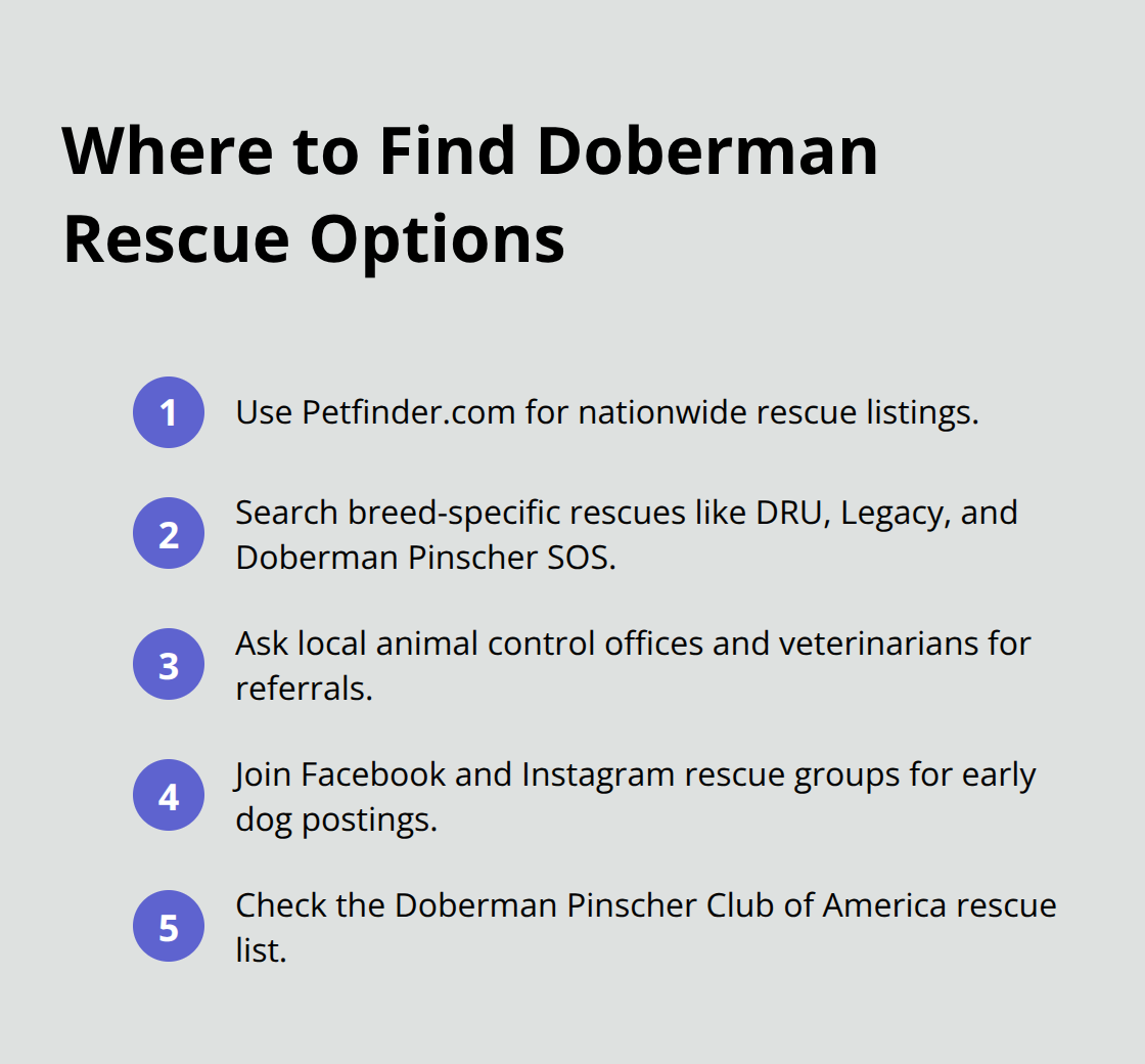Quick list of reliable places to locate Doberman Pinscher rescues in the U.S.