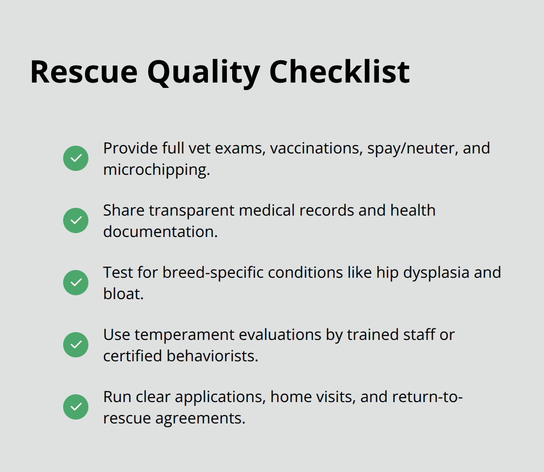 Checklist of standards for reputable Doberman adoption centers - doberman pinscher puppy adoption