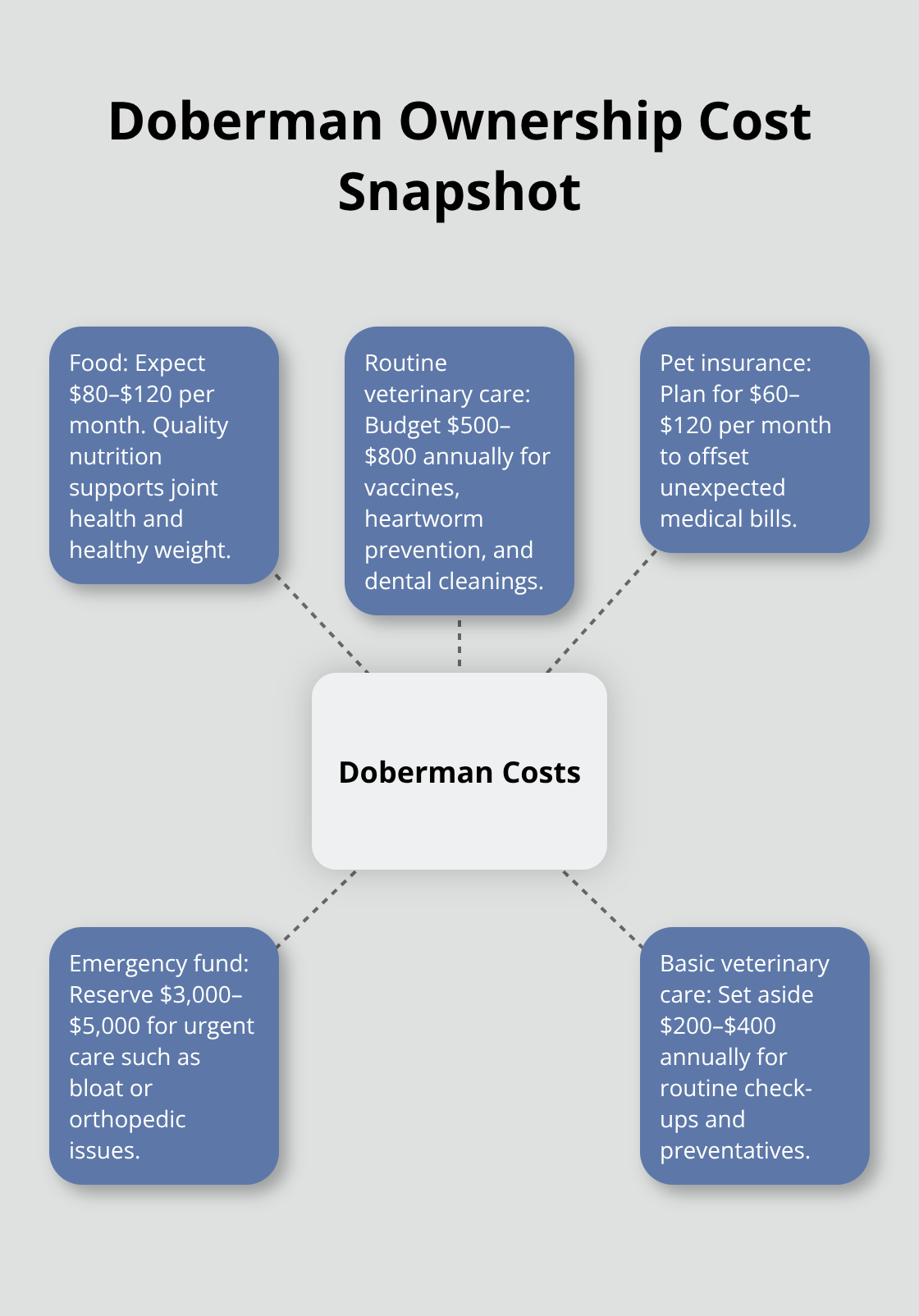 Key monthly and annual costs to budget for a Doberman in the U.S. - doberman pinscher puppy adoption