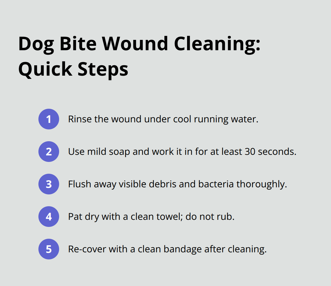 How to Care for Dog Bite Wounds on Dogs