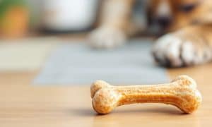Are Dog Bones Safe for Your Furry Friend?