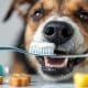 Dog Dental Care: Protecting Teeth For A Strong Bite