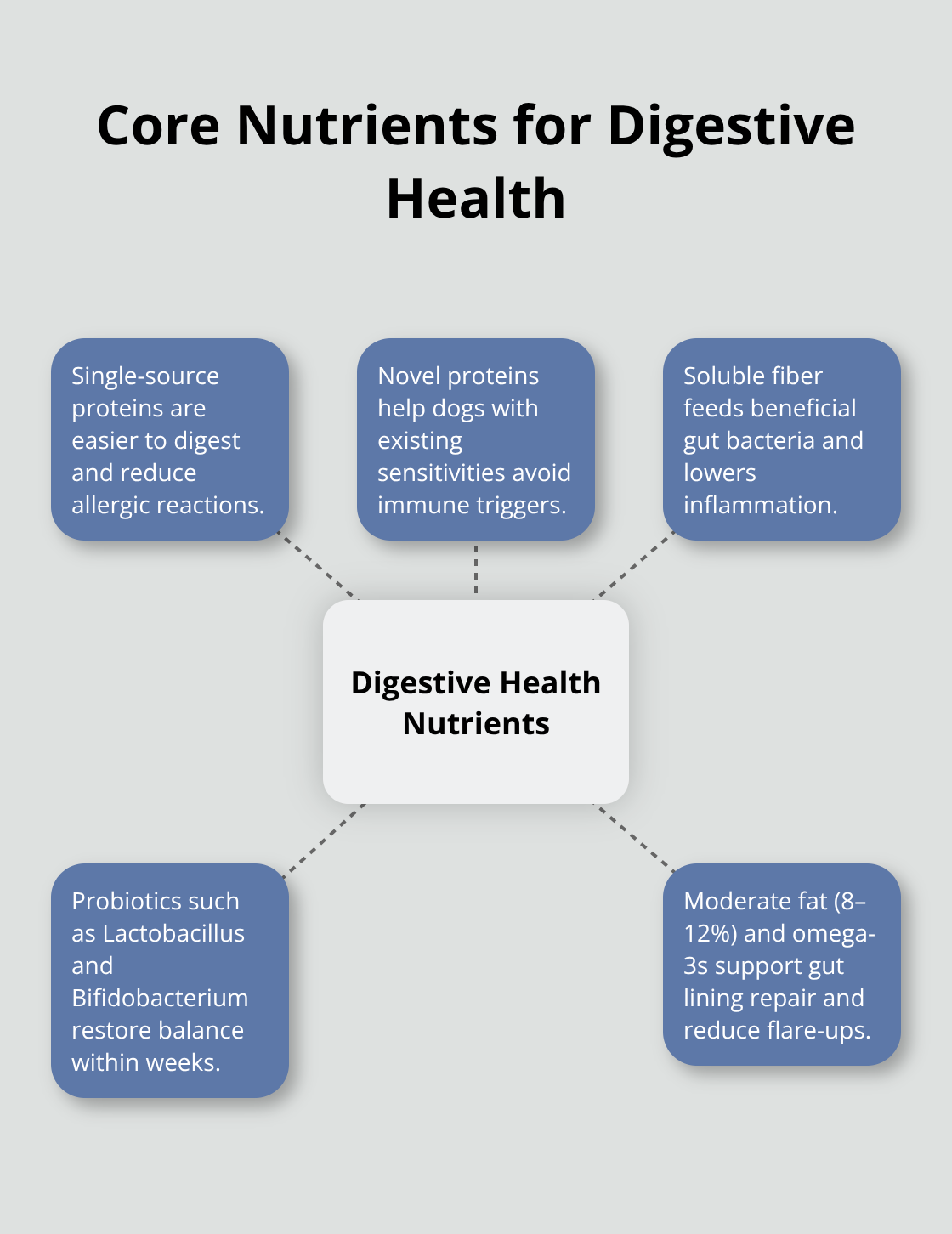 Hub-and-spoke visualization of key nutrient categories that support canine digestive health - dog food for digestive care
