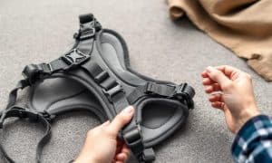 How to Choose a Safe Dog Harness for Your Pet