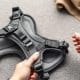 How to Choose a Safe Dog Harness for Your Pet
