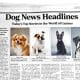 Dog News Headlines: Today's Top Stories in the World of Canines