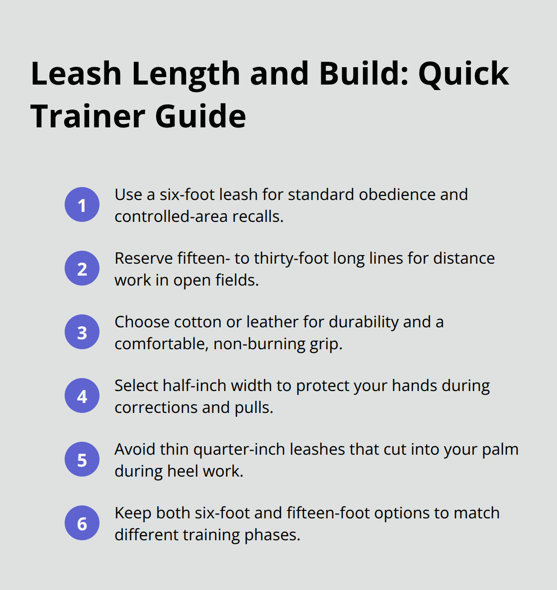 Essential Dog Obedience Utility Articles for Training