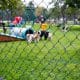 Is Your Dog Park Safe? A Guide for Pet Owners